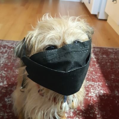 swishytail's profile picture. Critical care vet, mom, dog trainer, reader, skeptic, native plant friend, Unitarian, cyclist. Views my own.