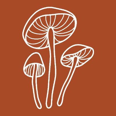 The Psychedelics Law Blog is a forum for discussing the practical aspects of psychedelic law and how it impacts those involved in this growing industry.