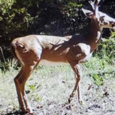 Mason41399979's profile picture. Mason