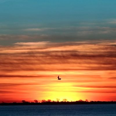 Happy Catholic searching for transparency & truth