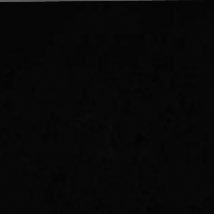 doodoofart345's profile picture. 