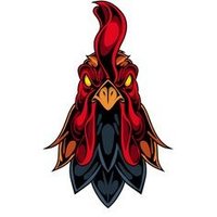 M (@theroosterbeard) 's Twitter Profile