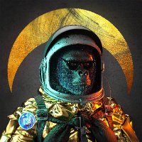 Vengeful Space Apes //VSA// on Oasis - Mint 28/04 (@v_spaceapes) 's Twitter Profile