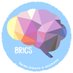 BRiCs Project (@brics_project) Twitter profile photo