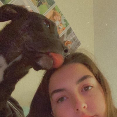 katie Profile