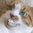 復活した猫野郎のアイコン