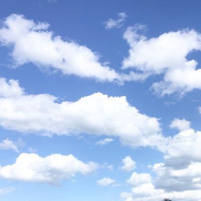 漏斗胸への情報を集めるため作りました。 rotomunech@gmail.com https://t.co/eyjVxzgbHc https://t.co/xaIEkpJE39