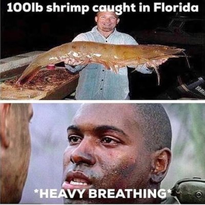 TrIppTheGlitch's profile picture. 