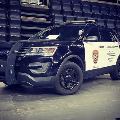 Follow my adventures with my Raccoon City Police department cruiser