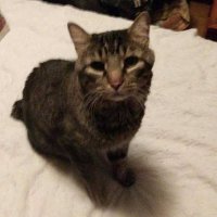 Eric Kivak III (@kivakiiii) 's Twitter Profile