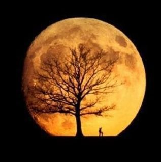 I'm in love with my soulmate at the north pole, my sweet little star, far way from me, but in the button of my heart.