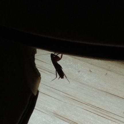 RPGCryptoRun's profile picture. Crypto