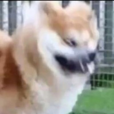 robot0510's profile picture. 