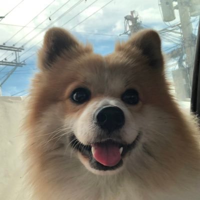 everyone’s favorite choco ! ^ 3 ^