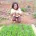 Farmer Birungi 🇺🇬 (@farmerbirungi) Twitter profile photo Farmer Birungi 🇺🇬 (@farmerbirungi) Twitter profile photo