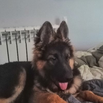 ilodz24's profile picture. Jestem jaki jestem i nic tego nie zmieni.