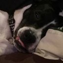 Bailey Byrnes - @BaileyByrnes6 - Twitter