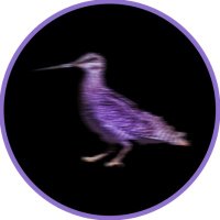 Solit (@solitso) 's Twitter Profile