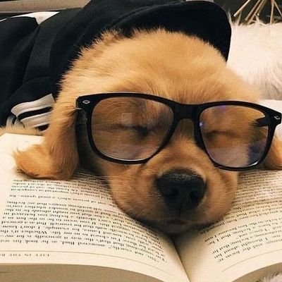 autumnn1122's profile picture. clientt // preferred english major