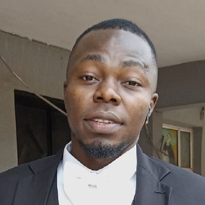 Software Engineer | Director, Paradiso Technologies Limited | Onye nkuzi mahadum na Unizik.