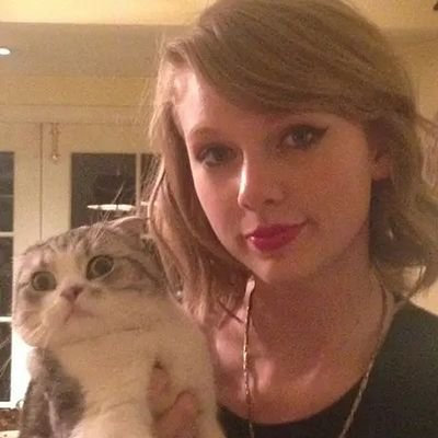 This is pretty much just a cat account
TT: swiftsland