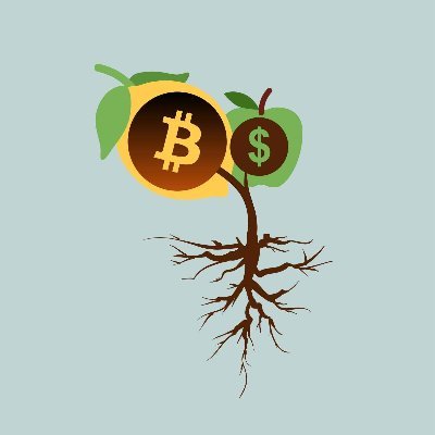 CryptoHrvst's profile picture. 