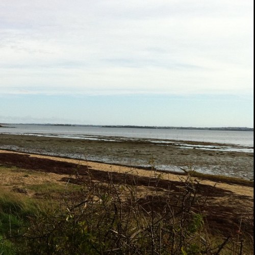 mrmask's profile picture. sniper à mi-temps