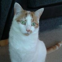 Mr Darcy and gang (@codarcy) 's Twitter Profile Photo Mr Darcy and gang (@codarcy) 's Twitter Profile Photo