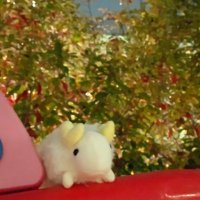 亜郁 ****交換垢 (@aiku_swap) 's Twitter Profile