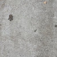 Grega Repovž (@gregarepovz) 's Twitter Profile Photo