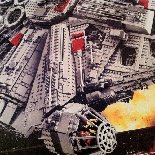 LosadaJose's profile picture. 