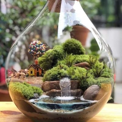 olatundesolom10's profile picture. Arc Solomon