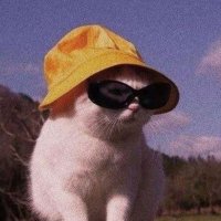 Cat people 🐈 (@catpeopleksa) 's Twitter Profile Photo Cat people 🐈 (@catpeopleksa) 's Twitter Profile Photo