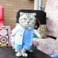 dr taner (@dr_blue35) 's Twitter Profile