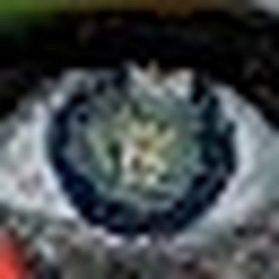👁| CrypEye NFTs is an newly released nft with incredible potential.
Launch Nov 16, 2021.
Will began doing give always Dec 1,2021. Prices will varies.
