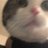 にこりしちのアイコン