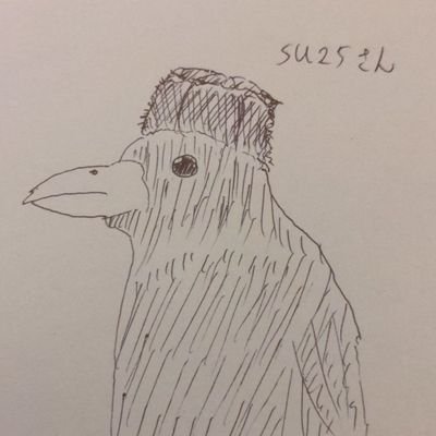 す２５さんのプロフィール画像
