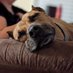 Sue (@pitlifemomma) Twitter profile photo Sue (@pitlifemomma) Twitter profile photo