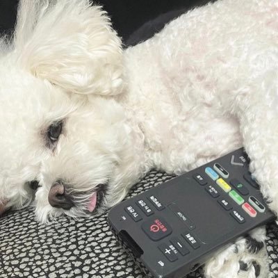 Rouさんのプロフィール画像