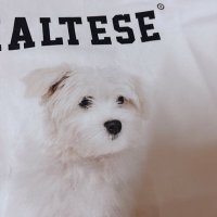 babyjaneko (@babyjaneko2) 's Twitter Profile