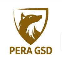 Pera German Shepherd Dogs (@peragsd) 's Twitter Profile