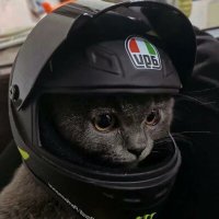 jake风 (@flight9s) 's Twitter Profile