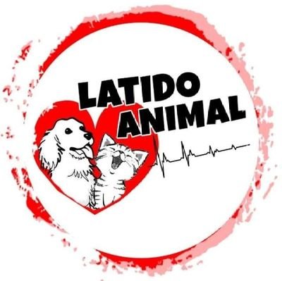 Somos una Asociación Protectora de Animales Toledana que trabaja con casas de acogida y sin subvenciones gubernamentales. #Antitaurinos #Adopcion #Anticaza