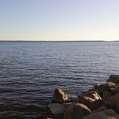 Jallow45830657's profile picture. 