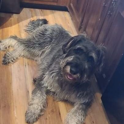 Charlsbad's profile picture. 