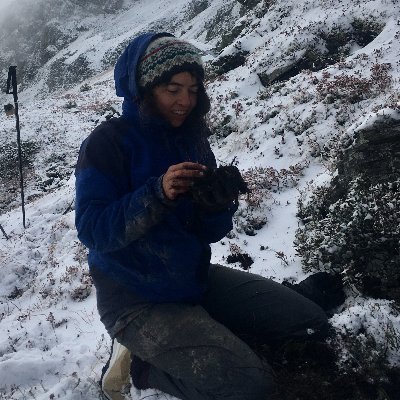 Ecologist. Passionate by the diversity of the visible and