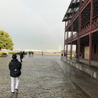 しょー (@sysysyo) 's Twitter Profile
