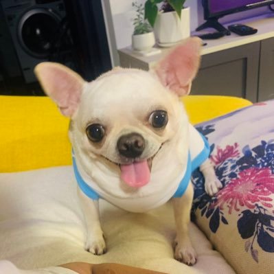 anv888888's profile picture.
