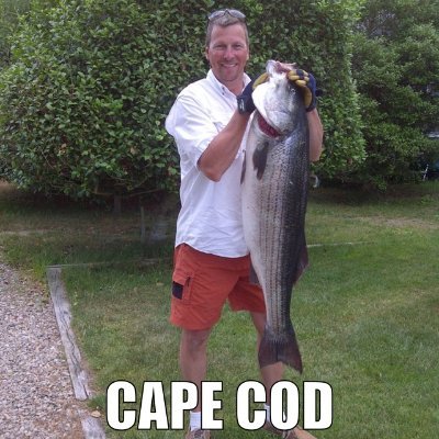 OptiMAcompanies's profile picture. Teach a man to fish and he'll spend his whole paycheck on lures and fishing gear!