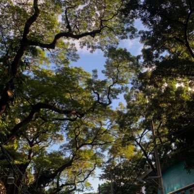 gyatt_3's profile picture. 